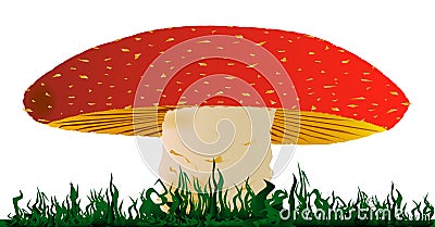 Toadstool Vector Illustration