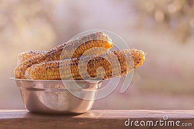 Toasted corn cobs Stock Photo