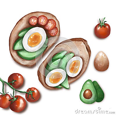 Toasts with avocado, tomato and egg, Raster illustration, Procreate sketch Cartoon Illustration