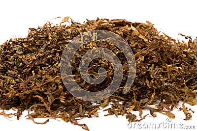 Tobacco Stock Photo