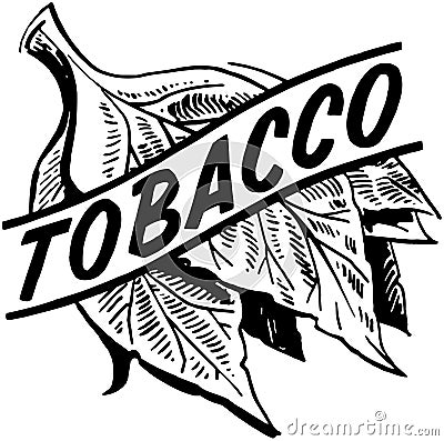 Tobacco Vector Illustration