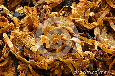 Tobacco Stock Photo