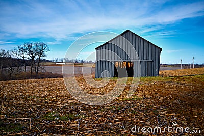 Tobacco Barn With Hanging Tobacco Stock Photo