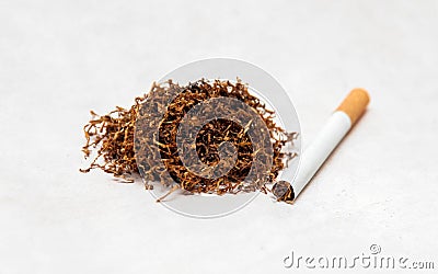 Tobacco Stock Photo