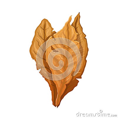 tobacco leaf cartoon vector illustration color sign Cartoon Illustration