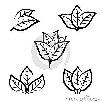 Tobacco leaf icons set. Collection icon tobacco. Vector Vector Illustration