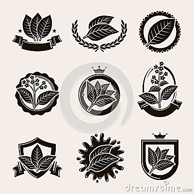 Tobacco leaf label and icons set. Vector Vector Illustration