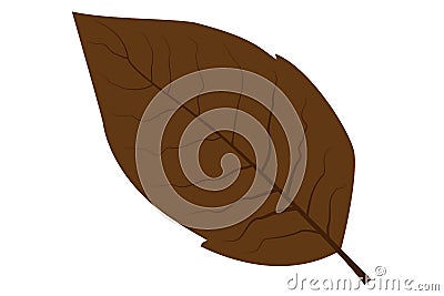 Tobacco leaf vector Vector Illustration