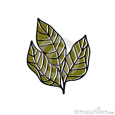 Tobacco leaves doodle icon, vector illustration Cartoon Illustration