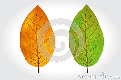 Tobacco leaves illustration Cartoon Illustration