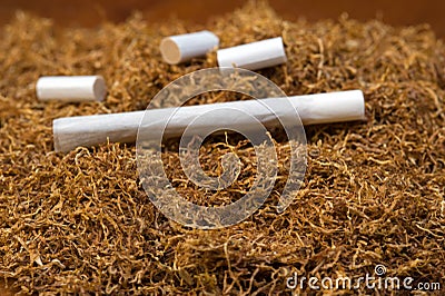 Tobacco Stock Photo