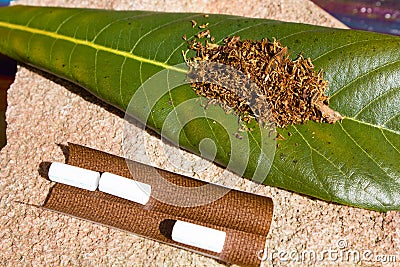 Tobacco for smoking on the sheet Stock Photo