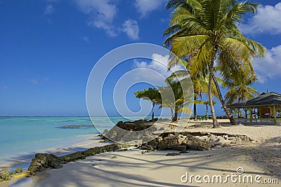 Tobago beach, Caribbean Stock Photo