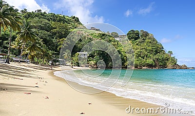 Tobago tropical island - Parlatuvier beach - Caribbean sea Editorial Stock Photo