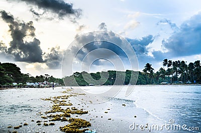 Toco Beach Editorial Stock Photo