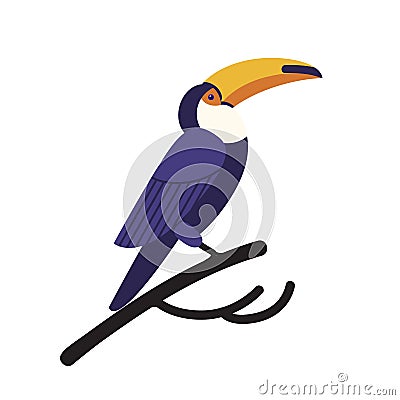 Toco toucan isolated on white background. Gorgeous exotic tropical bird with large bright colored beak or bill sitting Vector Illustration