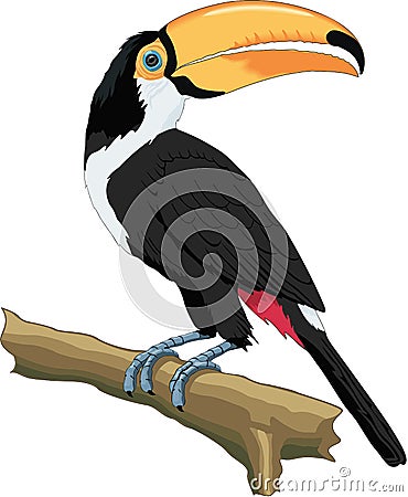 Toco Toucan Perched on a Branch Illustration Vector Illustration