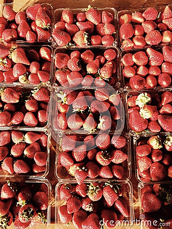 Carton upon carton of fresh organic and vegan strawberries Stock Photo