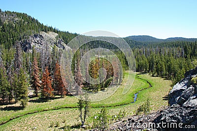 Todd Creek Stock Photo