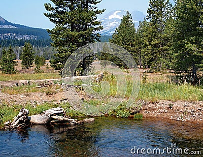 Todd Creek with South Sister Stock Photo