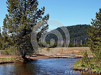 Todd Creek in the spring Stock Photo