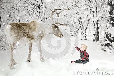 Toddler boy with Reindeer in snow Stock Photo