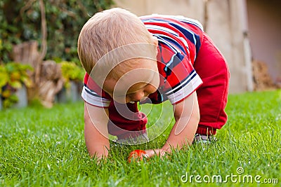 Toddler discovering nature Stock Photo