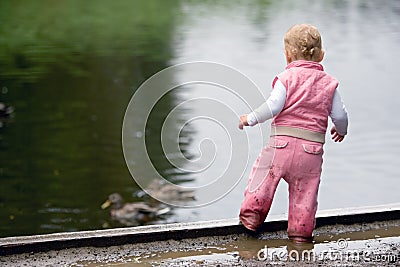 Toddler beside duck pond Stock Photo