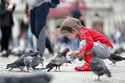 Toddler feeding the pigeons Stock Photo