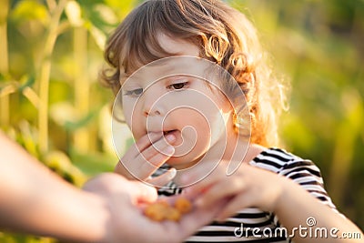 Toddler girl eats berries from fathers hand Stock Photo