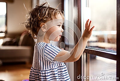 A toddler girl standing by window indoors at home, looking out. Stock Photo