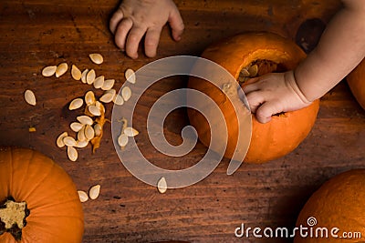 Toddler Reaching into a Pumpkin Stock Photo