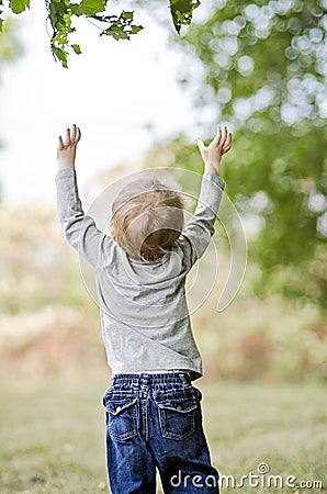 Toddler reaching up Stock Photo