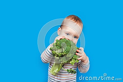 Todler with broccoli on blue background, healthy baby food. Complementary feeding of child with vegetables. Stock Photo