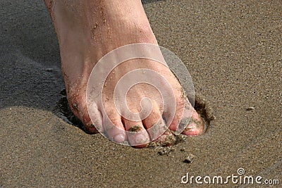 Toes in Sand Stock Photo