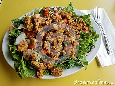 Tofu Power Chopper Salad Stock Photo