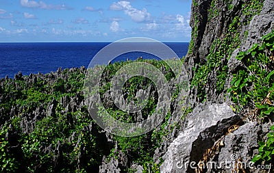 Togo Chasm, Niue Stock Photo