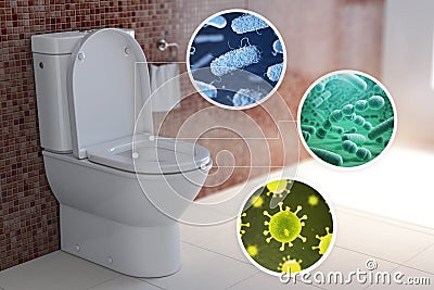 Toilet bowl with different types of bacteria, microbe and virus. Toilet hygiene infografic concept Cartoon Illustration