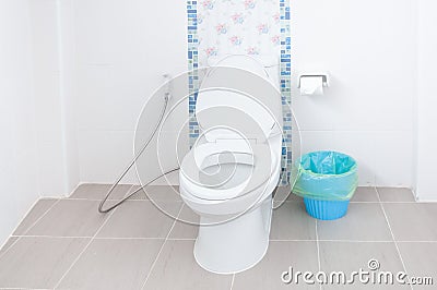 Toilet bowl in a modern bathroom and Blue bins Stock Photo