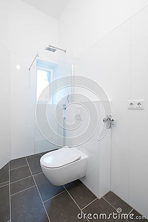 Toilet and shower cubicle in newly renovated bathroom Stock Photo