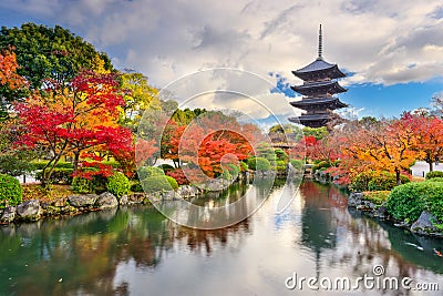 Toji Pagoda in Autumn Stock Photo