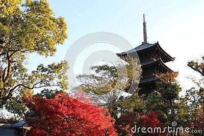 Toji pagoda and autumn leaves in the early morning, in Kyoto, Japan Stock Photo