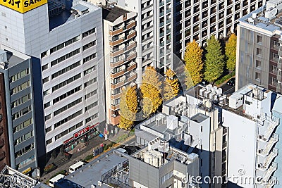 Tokyo autumn Editorial Stock Photo