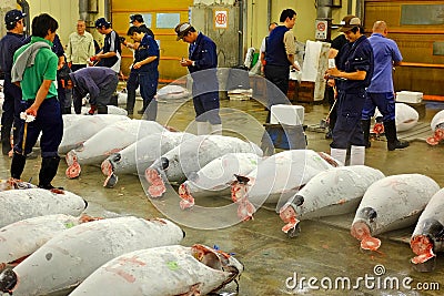 Tokyo fish market Editorial Stock Photo