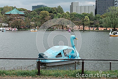 People enjoy riding swan paddle boats in Shinobazu Pond in Ueno park with cherry blossom sakura Editorial Stock Photo