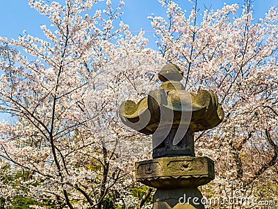 Tokyo, Japan - August 24, 2017: Close up of a rock statue of people enjoying the cherry blossoms festival in Ueno Park Editorial Stock Photo