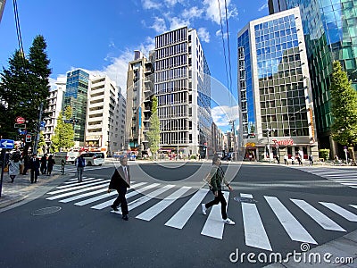 Tokyo, Japan - 20 November 2019: Crosswalk across the street for safety when people walking cross the street, white Editorial Stock Photo