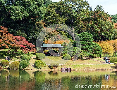 TOKYO, JAPAN - OCTOBER 31, 2017: Autumn in the Shinjuku park. Copy space for text. Editorial Stock Photo