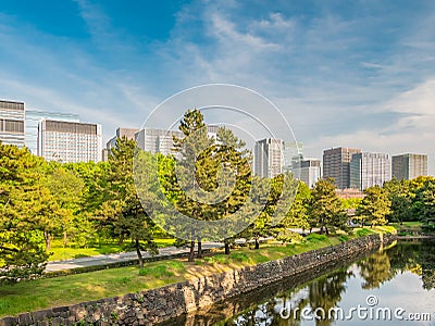Tokyo Skyline in the Imperial Palace East Gardens, Japan Stock Photo