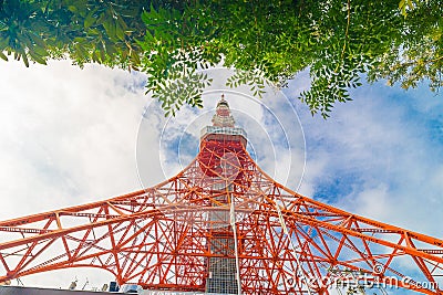 Tokyo Tower on sunshine day with blue sky green tree leaf foreground Stock Photo